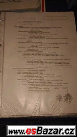 Příprava k přijímacím zkouškám na LF + maturitu z Bio a Chem – fotografie 3