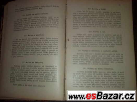 kuchařka od Rettigové – fotografie 4