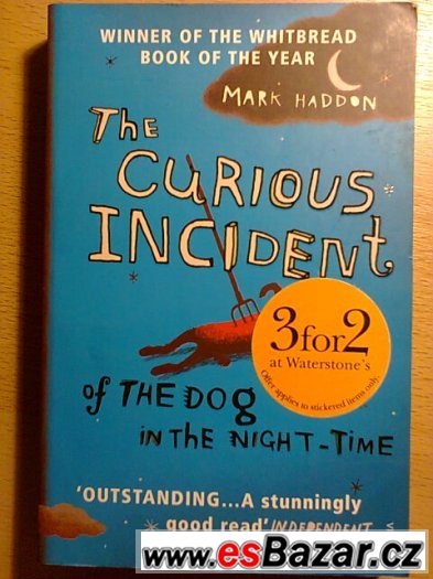 The Courious Incident of the Dog in the Night-Time – fotografie 1