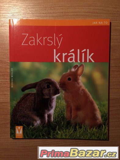 Knihy o zakrslých králících – fotografie 1