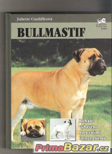 Kniha Bullmastif  cena 89 kč – fotografie 1
