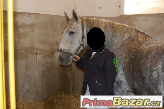 závodní sako – fotografie 1