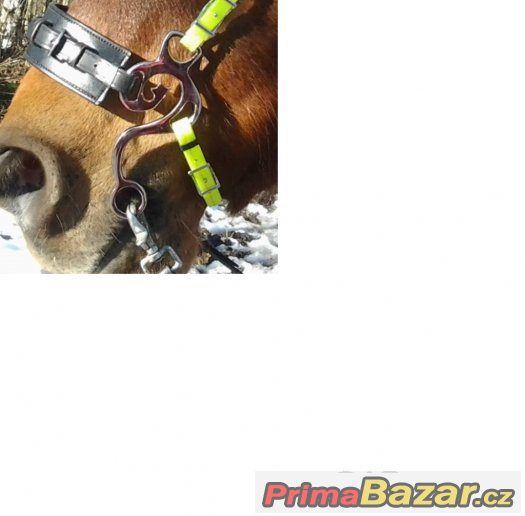 hackamore – fotografie 1