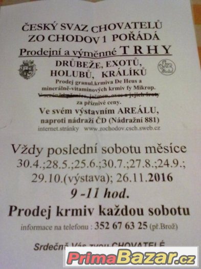 TRHY-CHODOV SOKOLOV – fotografie 3