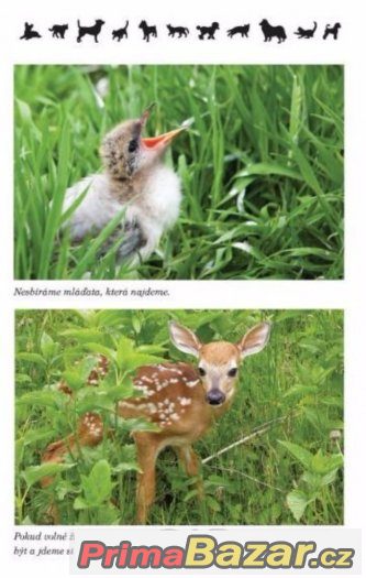 Kubišová a Srstka, zcela nová kniha Chcete mě? VELKÁ SLEVA – fotografie 5