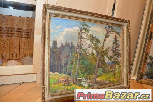 Obraz č.9 malovaný,rám – fotografie 1