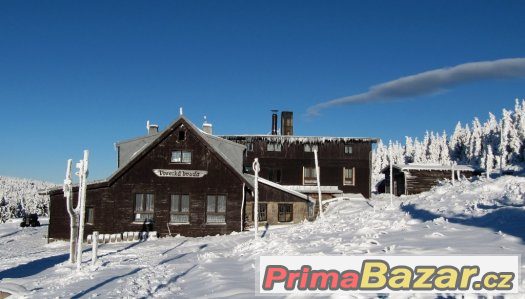 Číšník , servírka – fotografie 1