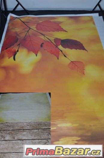 Fotopozadí Vinyl ČR – fotografie 5