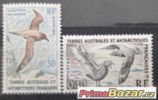 Australské antarktické teritorium - Partie Fauna – fotografie 1