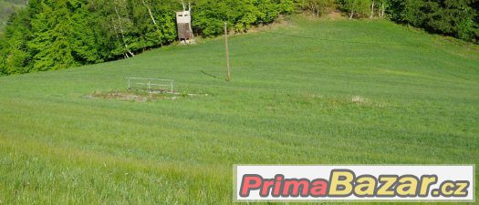 prodám pozemek na Rusavě – fotografie 1