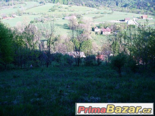 prodám pozemek na Rusavě – fotografie 2