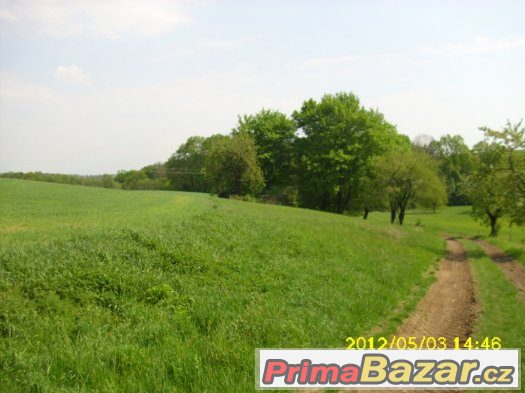 koupím  male auto bez spz do lesa – fotografie 1