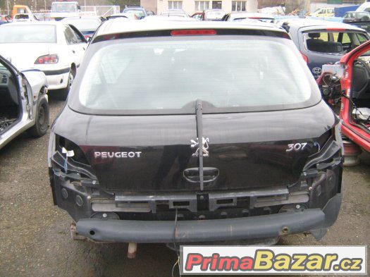 Peugeot 307 – fotografie 1