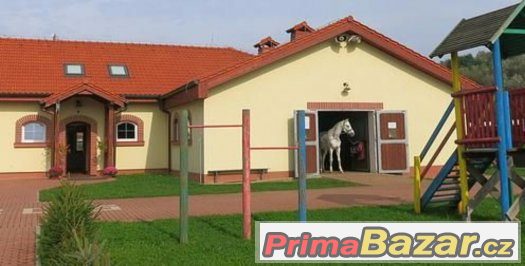 Hledáme stájníka/ošetřovatele koní – fotografie 1