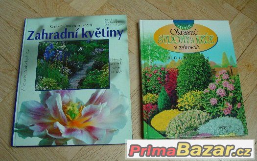Pokojové, balkonové rostliny, okrasné stromy, trvalky 13 ks – fotografie 2