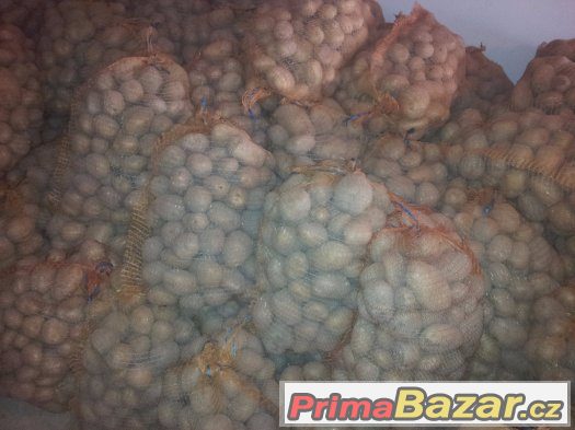 Prodej brambor a cibule – fotografie 2