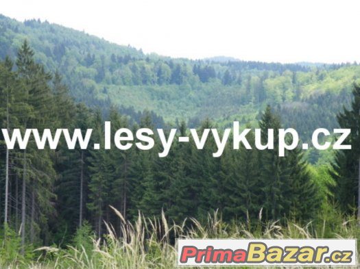 Koupím lesy, celá ČR – fotografie 1