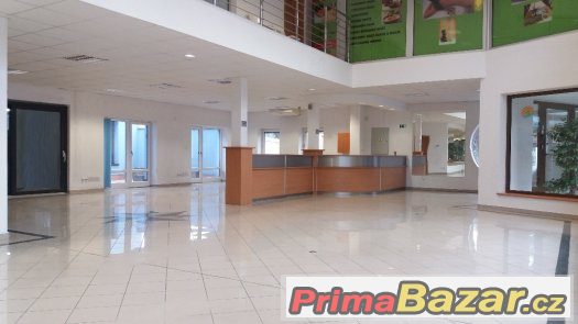 Atraktivní obchodní prostory, showroom,prodejna, 270m2 Opava – fotografie 3