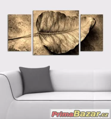 Obraz - LIST - velikost 120x60 cm