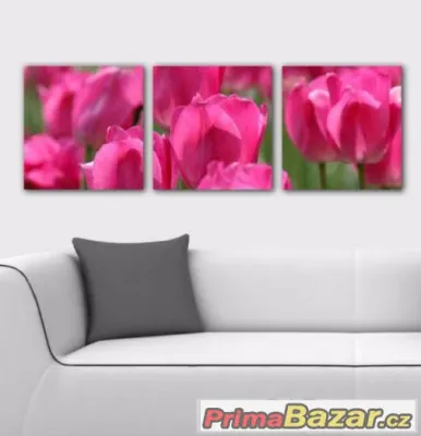 Trojdílné panorama - RŮŽOVÉ TULIPÁNY - velikost 90x30 cm