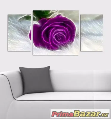 Obraz - FIALOVÁ RŮŽE - velikost 120x60 cm