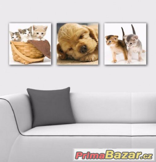 SLEVA 50% - trojdílný obraz - ZVÍŘÁTKA KOŤÁTKA - 90x30 cm – fotografie 1
