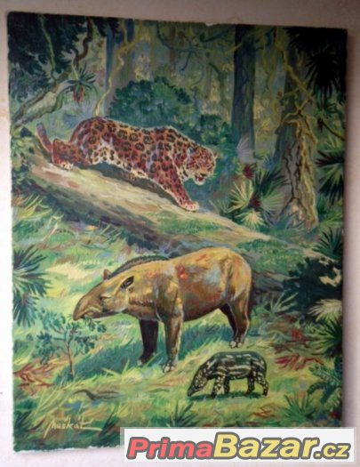 50x40 cm originál M.MUŠKÁT olej na plátně Tapír a Jaguár – fotografie 1