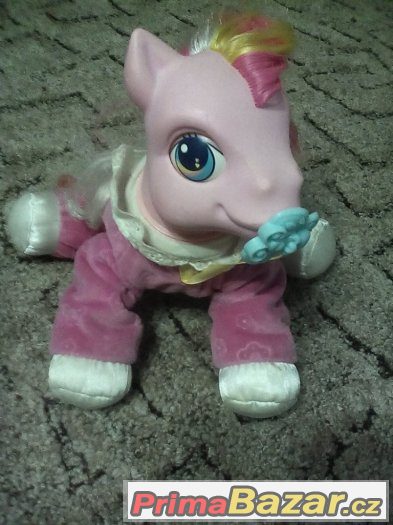 pony – fotografie 1