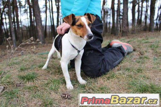 Jessie – fotografie 1