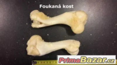 prodám sušiny pro psy