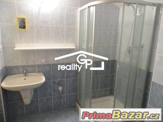 Pronájem 2+1, ul. Dr. Stejskala, Č. Budějovice – fotografie 4