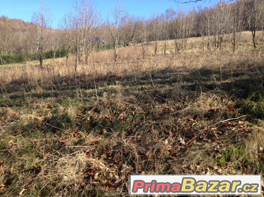 Prodej stavebního pozemku Mikulov v Krušných horách – fotografie 3