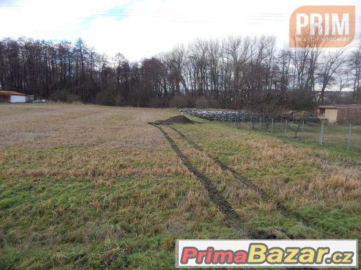 Rodinný dům se zahradou Pětipsy – fotografie 5