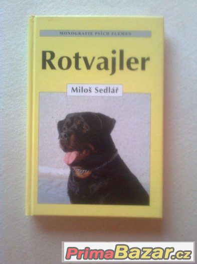 rotwajler – fotografie 1