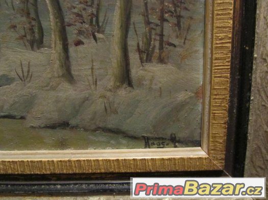 obraz – fotografie 2