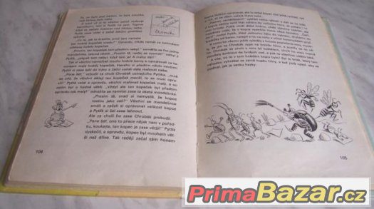 Brouk Pytlík – fotografie 2