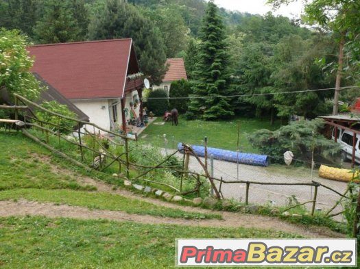 Výcvik všech plemen psů - cvičiště U Puntíků – fotografie 2