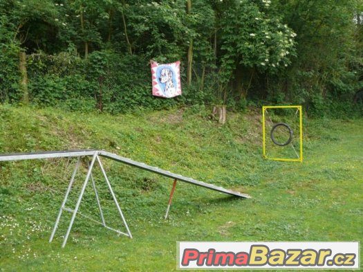 Výcvik všech plemen psů - cvičiště U Puntíků – fotografie 3