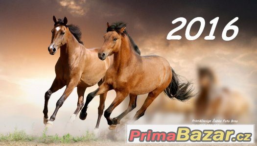 Kalendář Koně 2016 NOVÉ - začíná únorem – fotografie 1