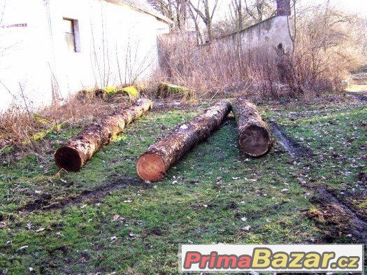 Palivové dřevo - surové kmeny – fotografie 2
