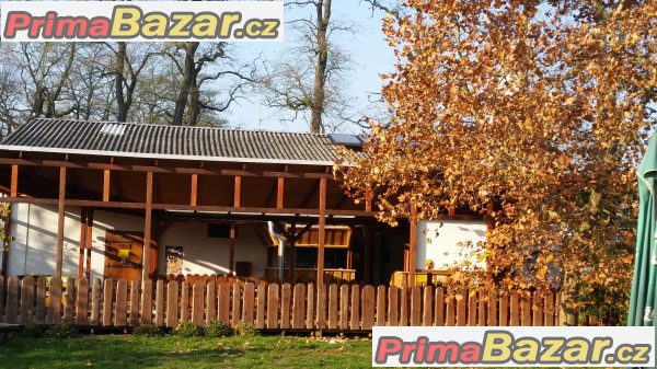 Servírka, číšník – fotografie 2