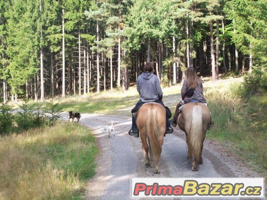 Dvoudenní putování v koňském sedle – fotografie 1