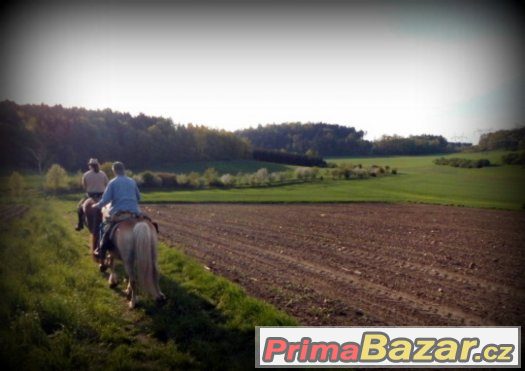 Dvoudenní putování v koňském sedle – fotografie 3