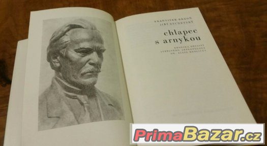 Prodám knihu Chlapec s Arnikou – fotografie 3