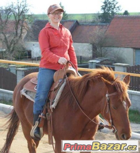 HORSEMANSHIP pro začínající koňáky ;-) – fotografie 3