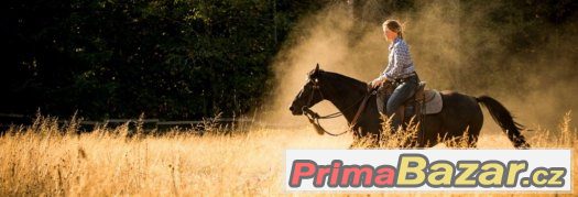 Poptávám koně parťáka – fotografie 1