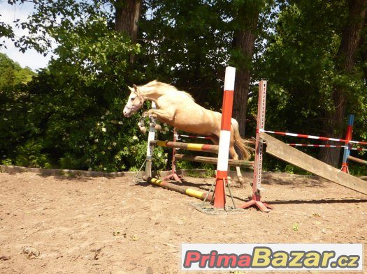 exclusivní nabídka pro náročné – fotografie 4