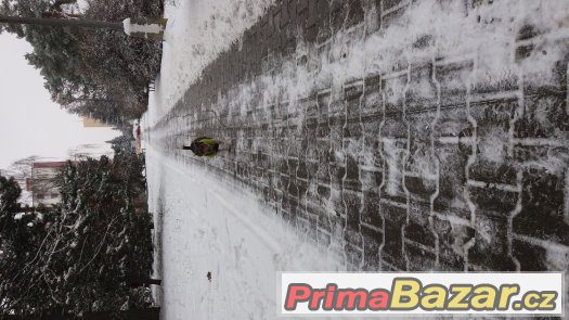 Nabízím ke krytí Jacka Russella s OJEDINĚLÝM zbarvením – fotografie 5