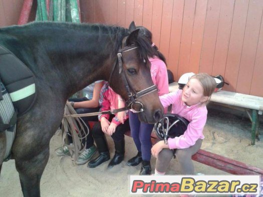 Letní pobytový tábor s koňmi – fotografie 4