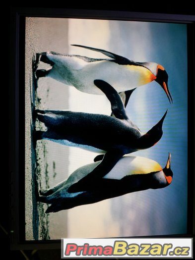Benq FP93G Q9T5 19" – fotografie 5